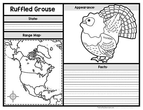 State birds activity pack