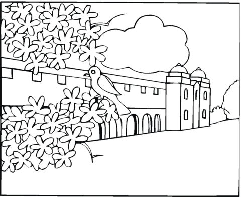 Dibujo de ruiseãor para colorear dibujos para colorear imprimir gratis