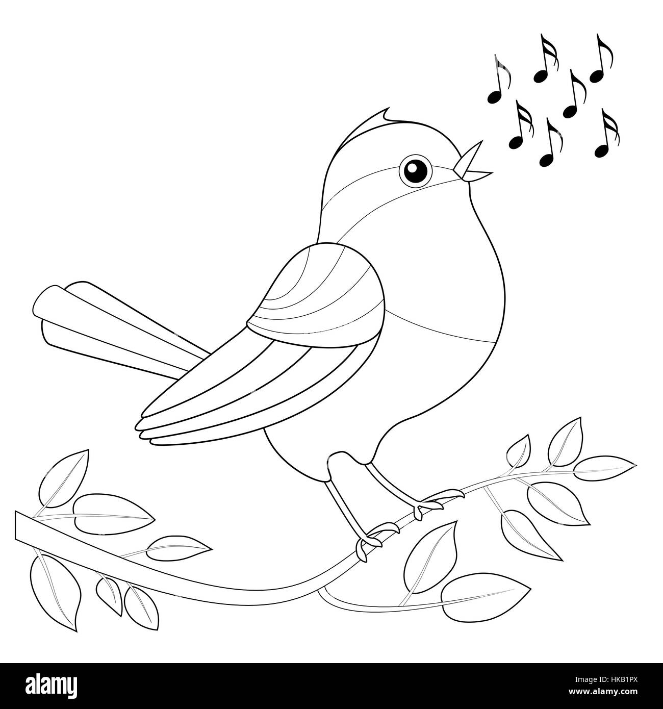 Songbird cut out stock images pictures