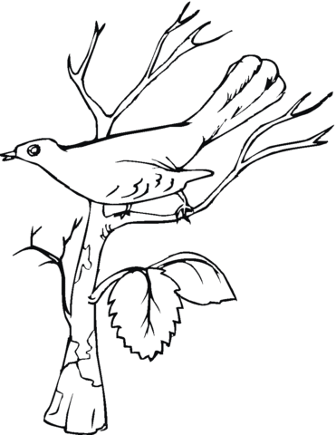 Dibujo de un ruiseãor cantando para colorear dibujos para colorear imprimir gratis