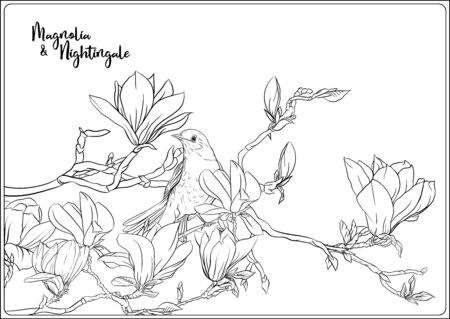 Magnolia tree branch with flowers and nightingale coloring page for the adult coloring book outline hand drawing vector illustration royalty free svg cliparts vectors and stock illustration image