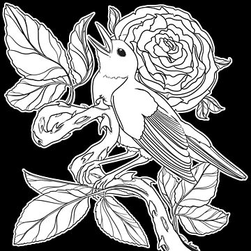The nightingale and the rose