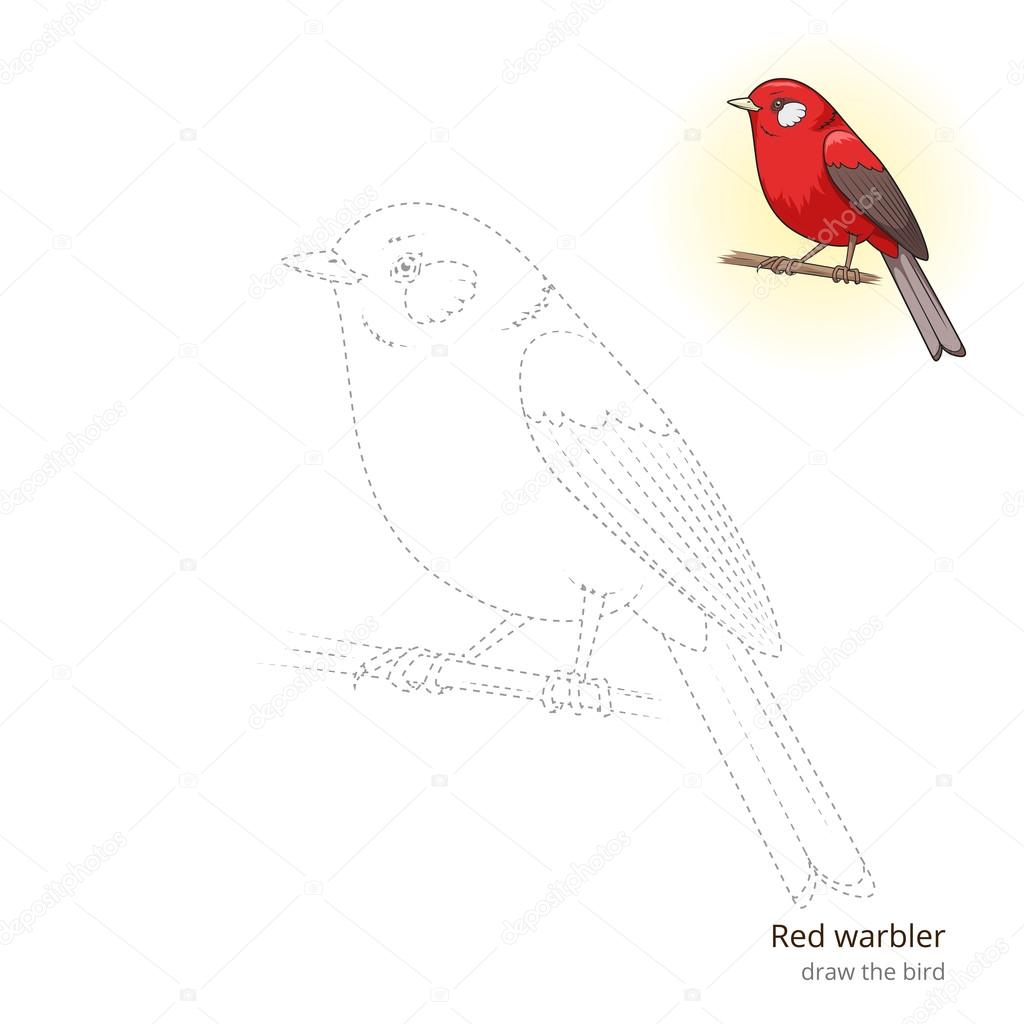 Pãjaro ruiseãor rojo aprender a dibujar vector vector de stock por alexanderpokusay