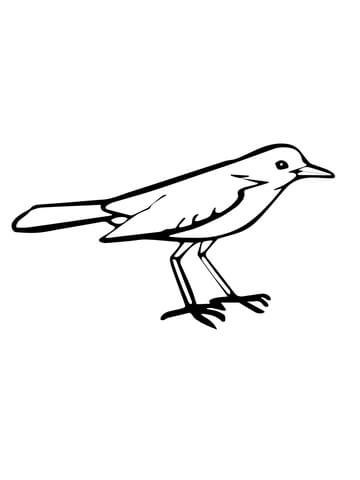 Nightingale coloring page free printable coloring pages