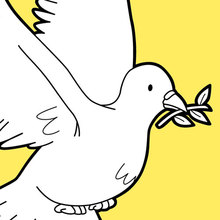 Bird coloring pages