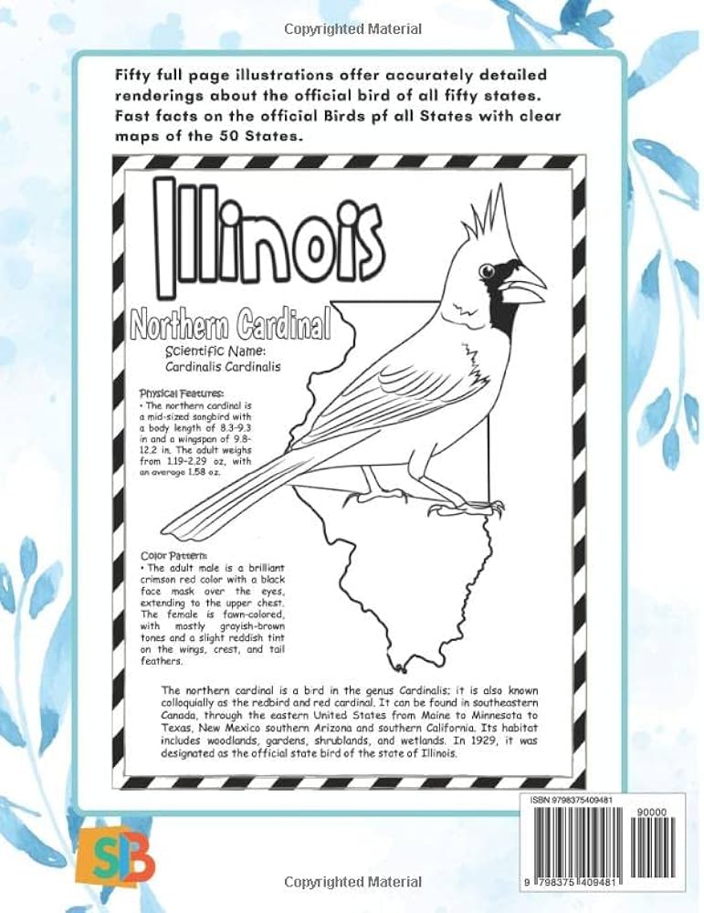 States birds coloring book for kids coloring book for bird lovers and birdwatching â birds for all states to coloring for girls and boys blake sandra libros