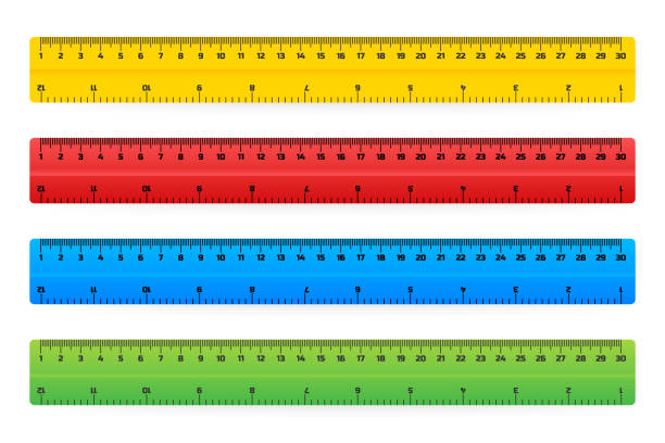 Ruler stock illustrations royalty