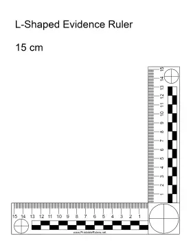 Evidence ruler centimeters