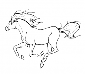 Horses