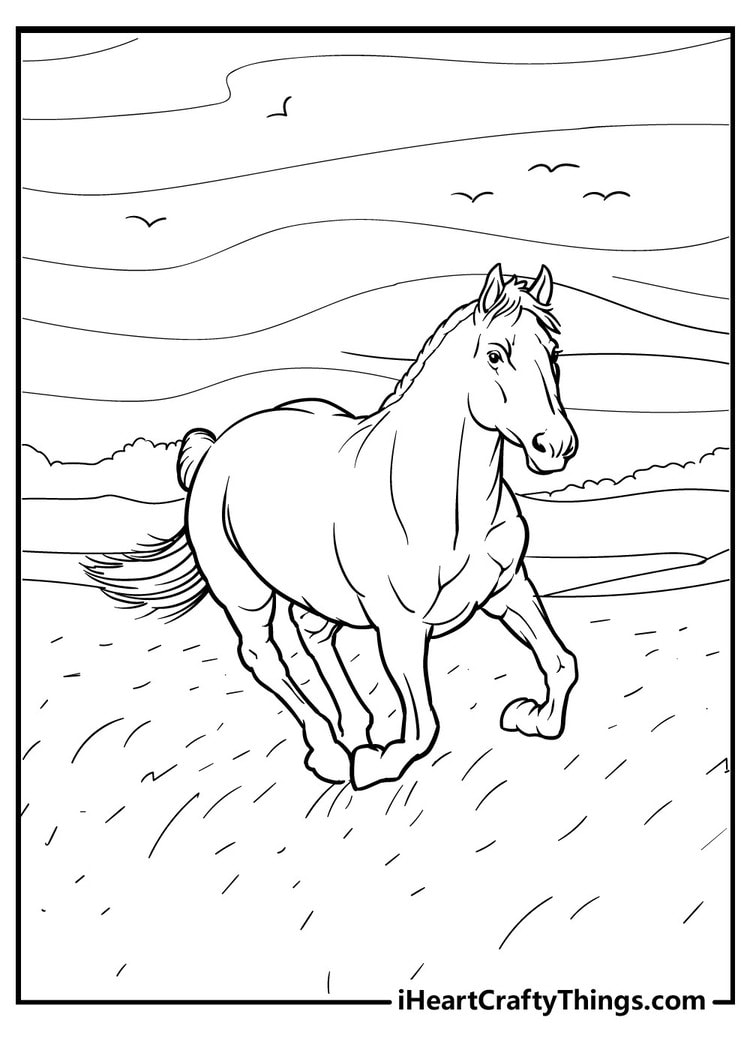 Horse coloring pages free printables