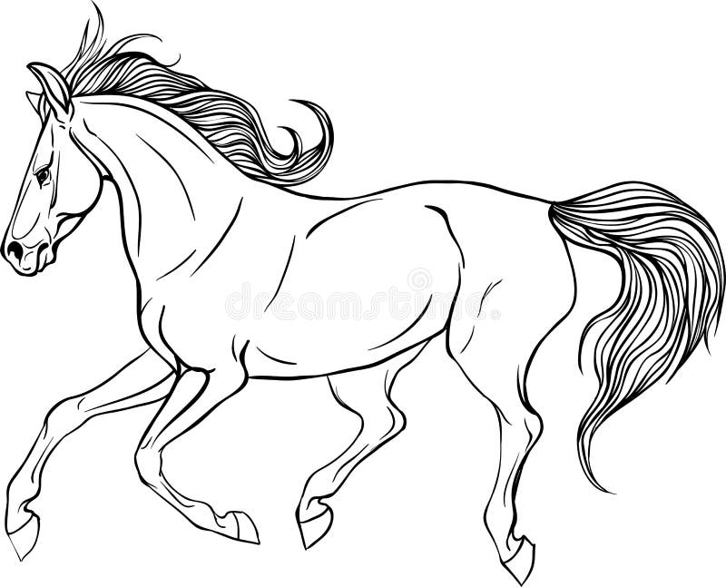 Adult coloring page horse stock vector illustration of line