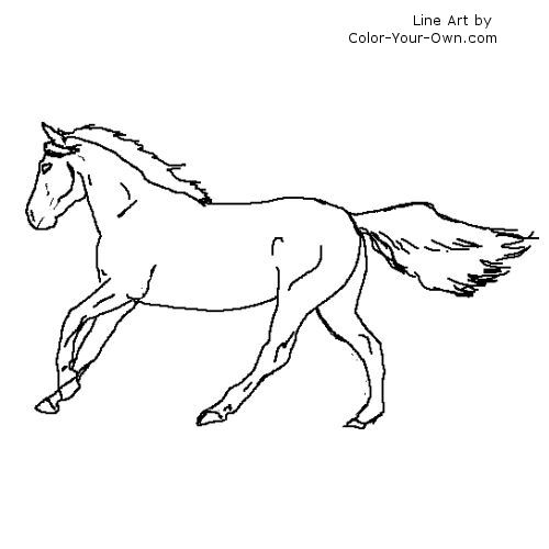 Running thoroughbred coloring page
