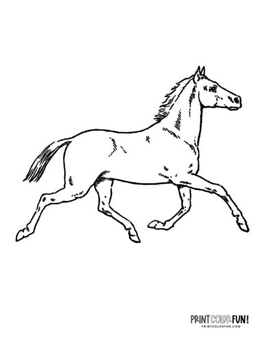 Beautiful horse coloring pages plus crafts educational games to saddle up for fun at