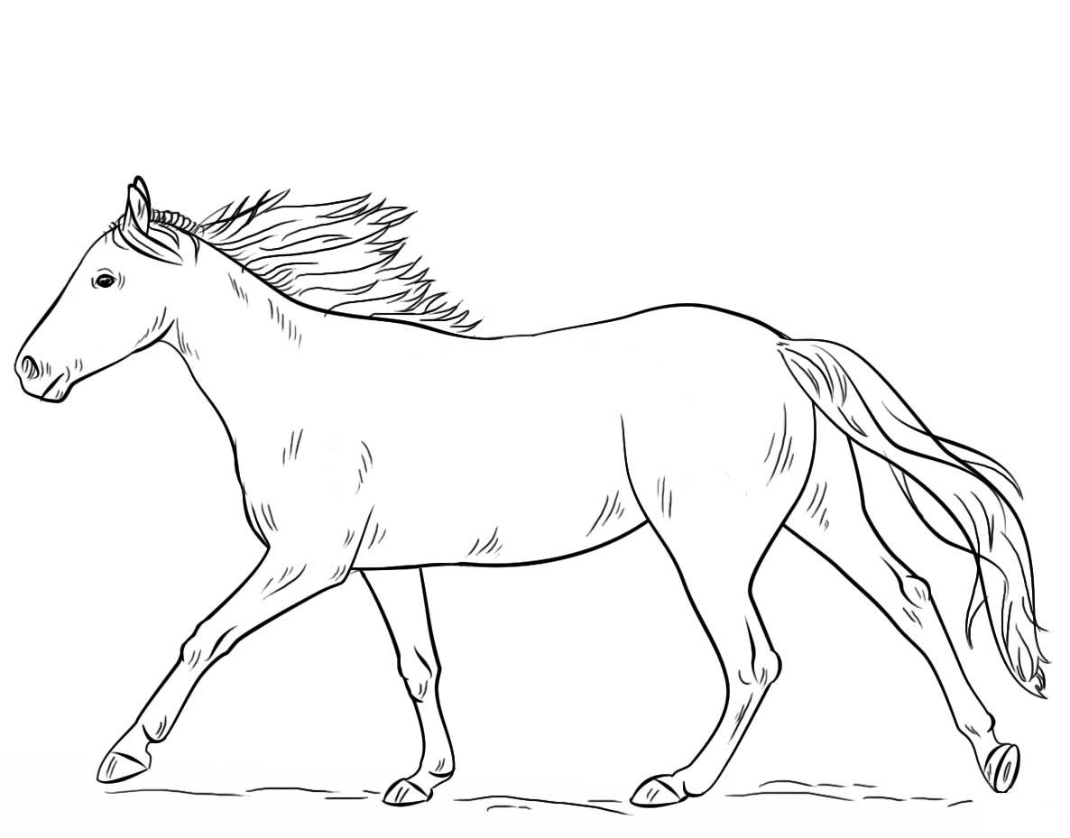 Running horse coloring page horse coloring horse coloring pages horse coloring books
