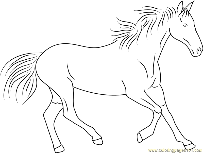 Horse running coloring page for kids
