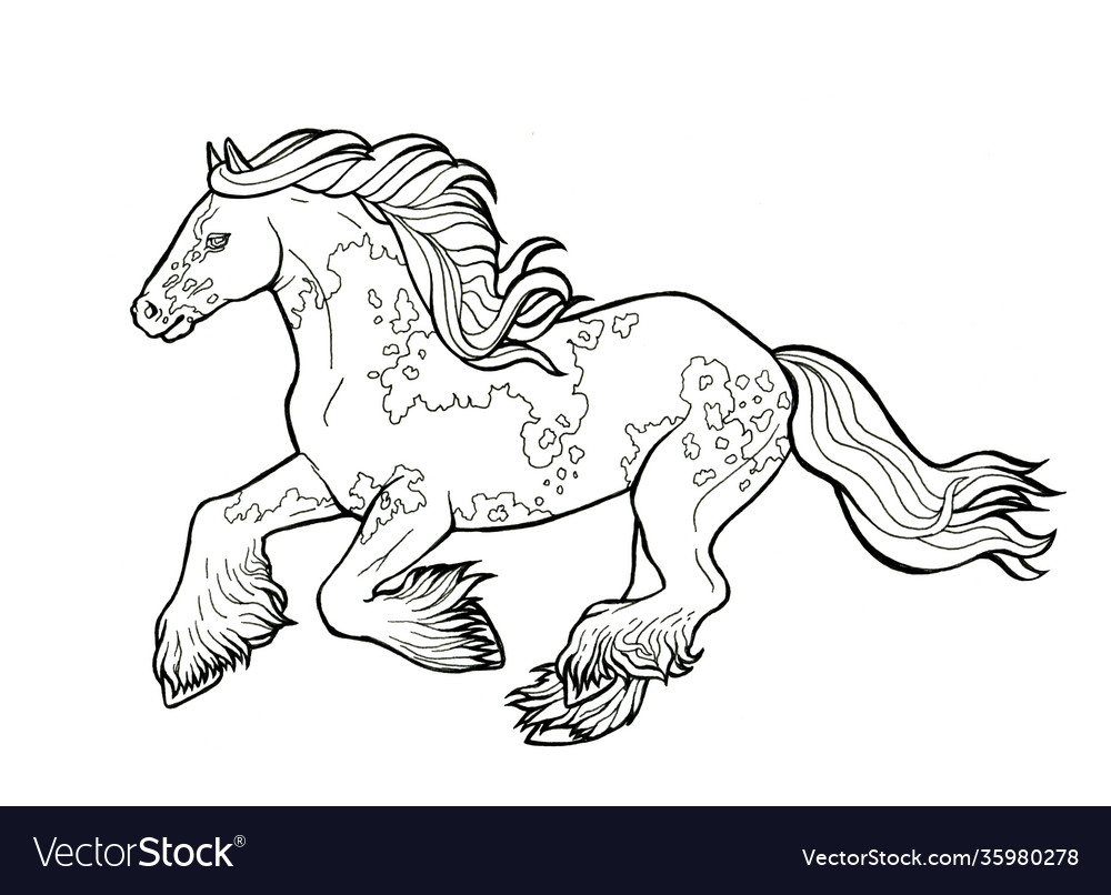 Horse runs trot coloring book royalty free vector image