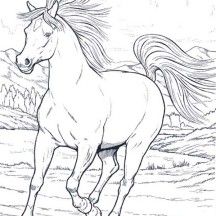 Wild horse in running in horses coloring page horse coloring horse coloring pages horses