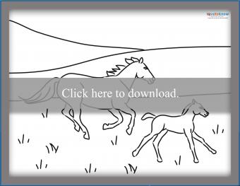 Horse coloring pages to print