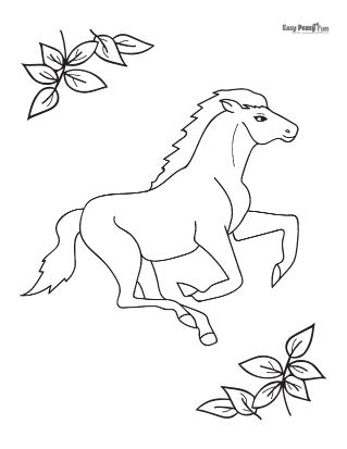 Horse coloring pages