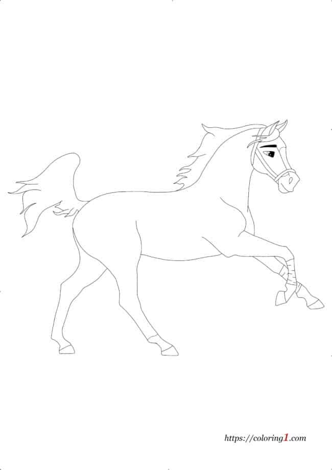Horse coloring pages