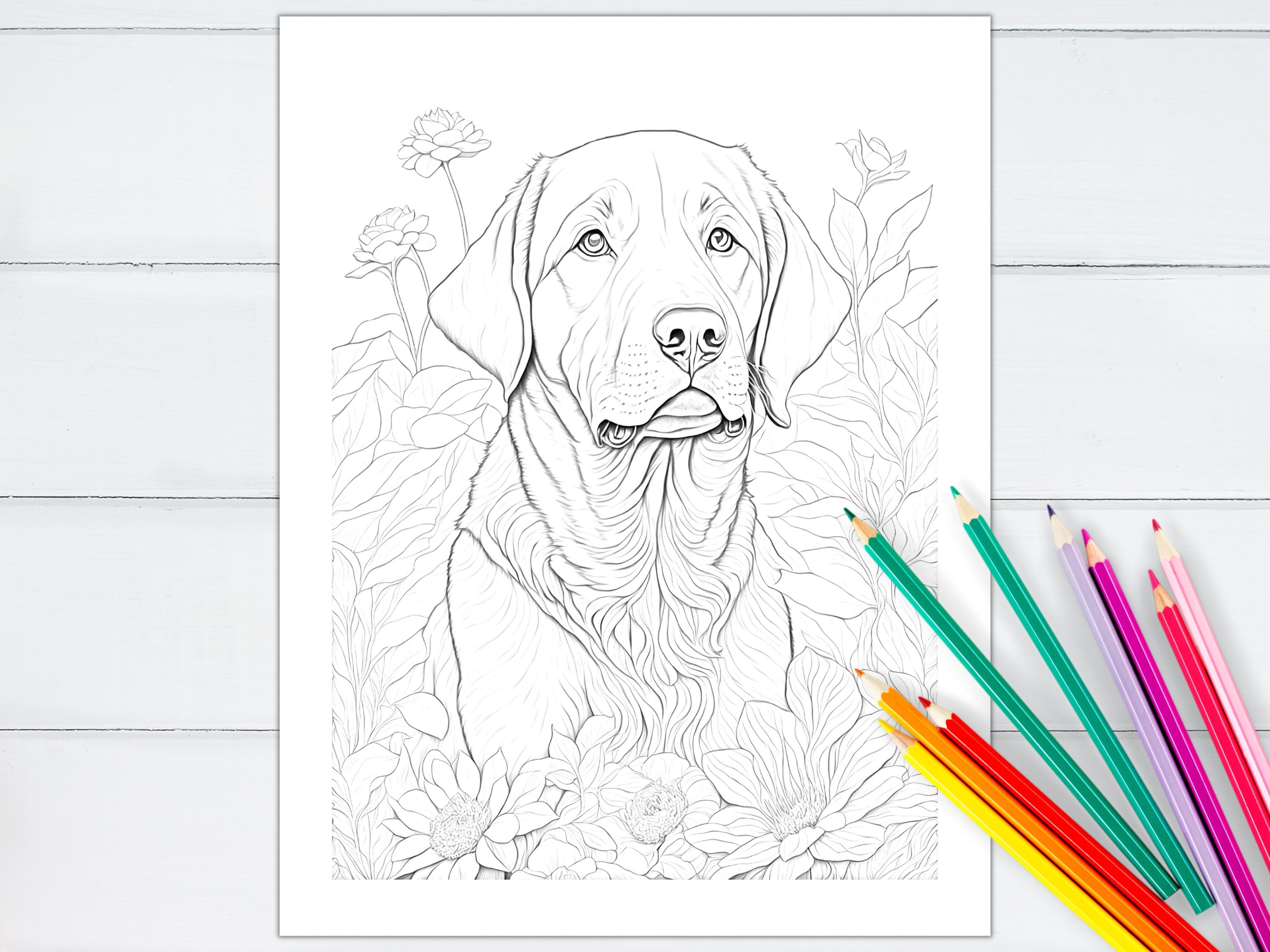 Lab coloring pages