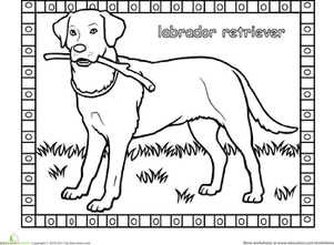 Labrador worksheet education dog coloring page black labs dogs puppy coloring pages