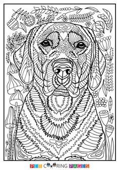 Free printable labrador retriever coloring page available for download simple and detailed versions fâ dog coloring page dog coloring book puppy coloring pages