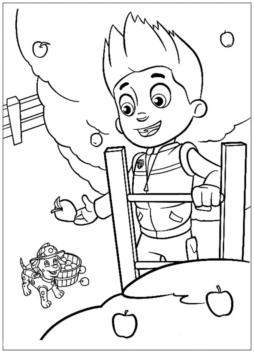 Cute paw patrol skye coloring pages free