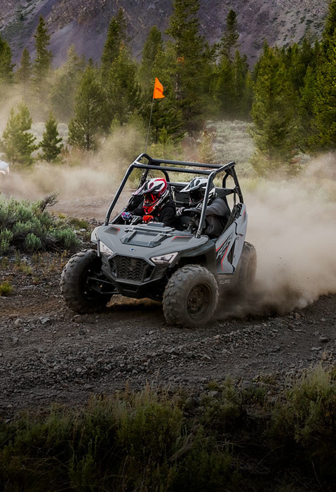 Rzr efi sxs