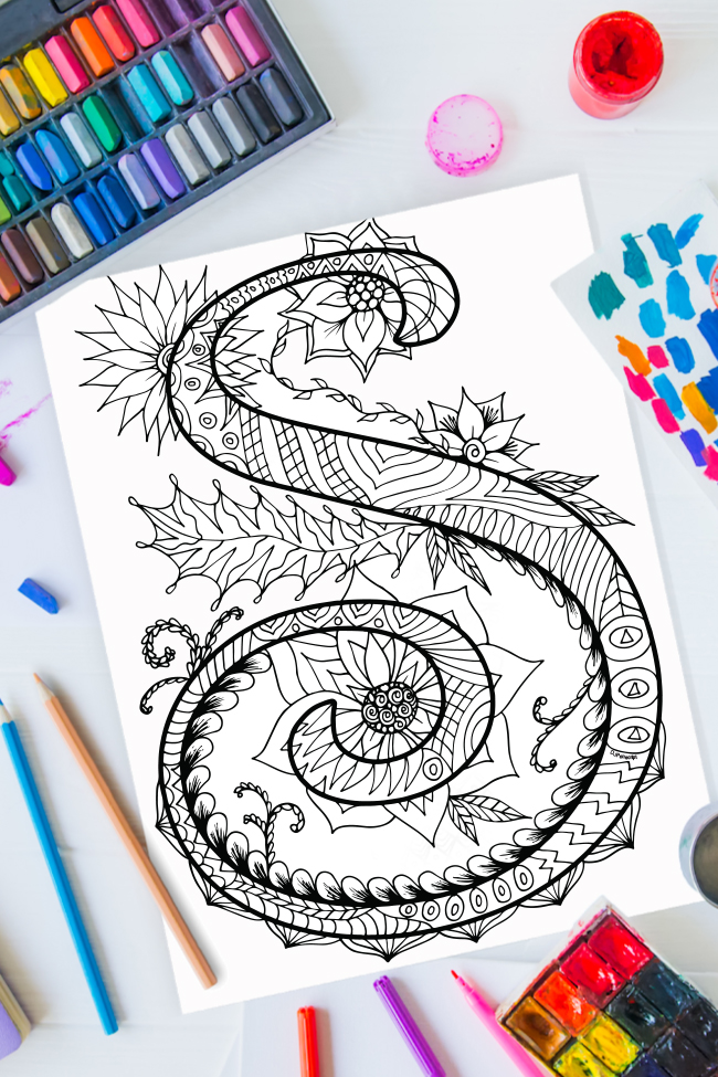 Zentangle letter s design