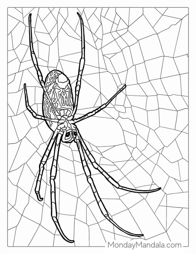Spider coloring pages free pdf printables