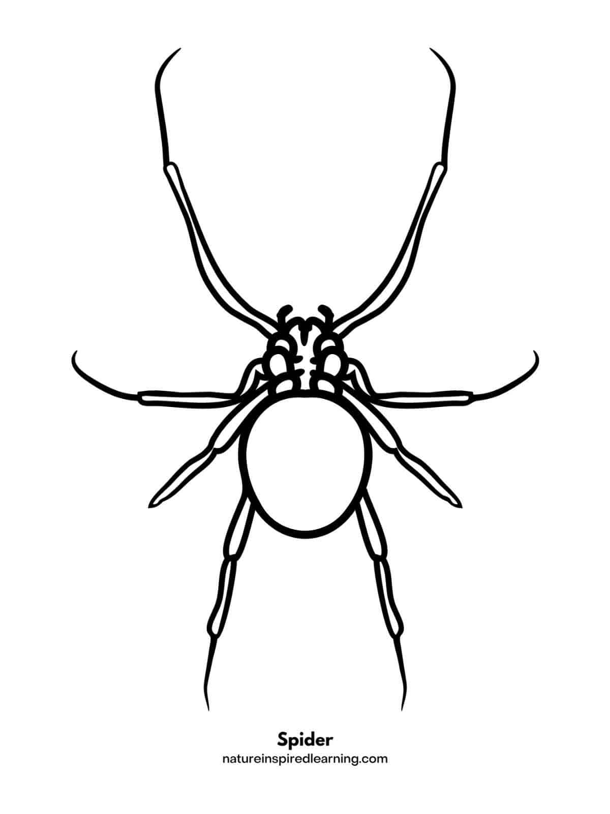 Spider coloring pages
