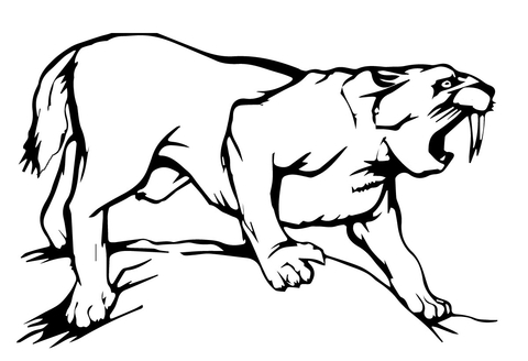 Sabre tooth tiger coloring page free printable coloring pages