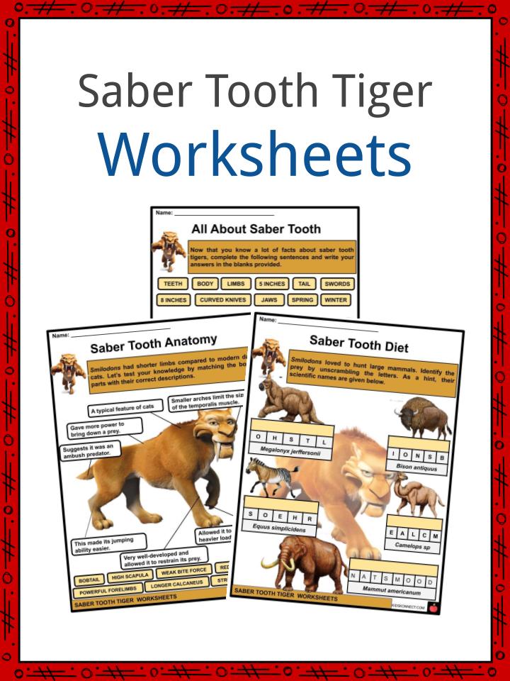 Saber tooth tiger facts worksheets taxonomy for kids