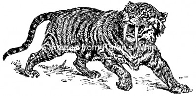 Prehistoric mammals