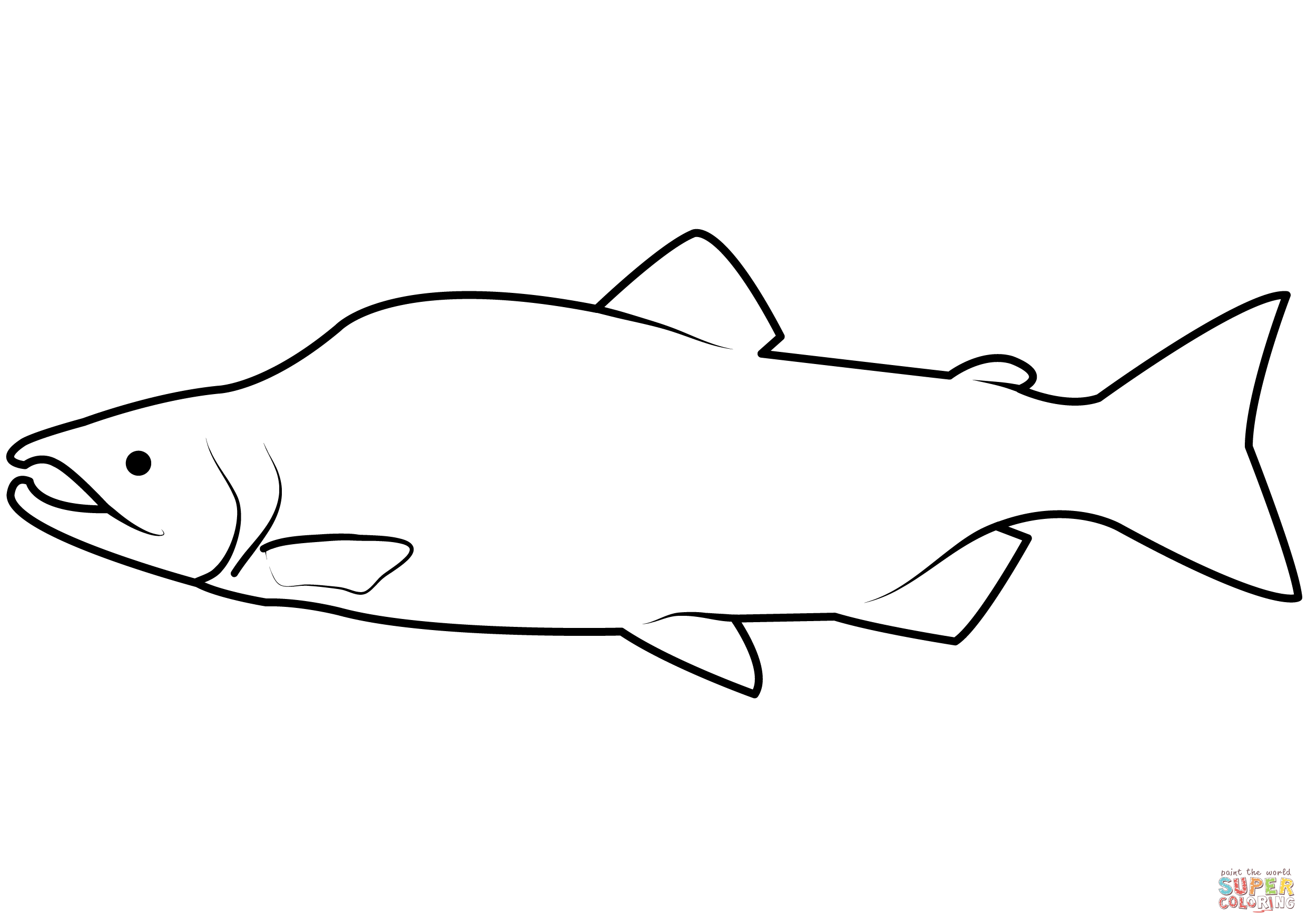 Pink salmon oncorhynchus gorbuscha coloring page free printable coloring pages