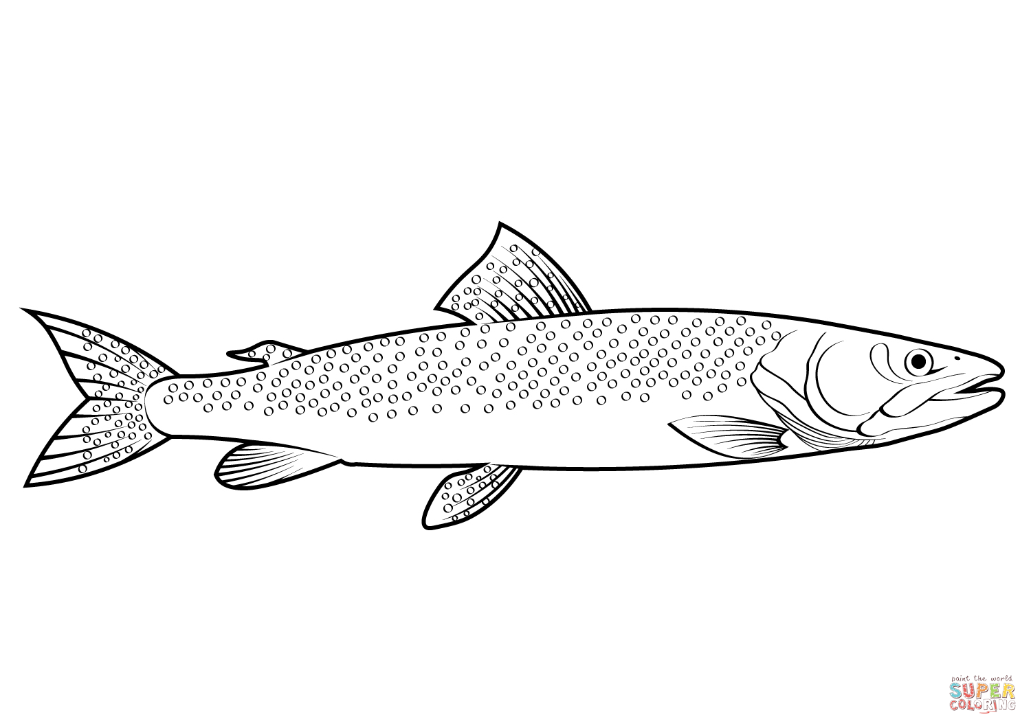 Huchen hucho hucho coloring page free printable coloring pages