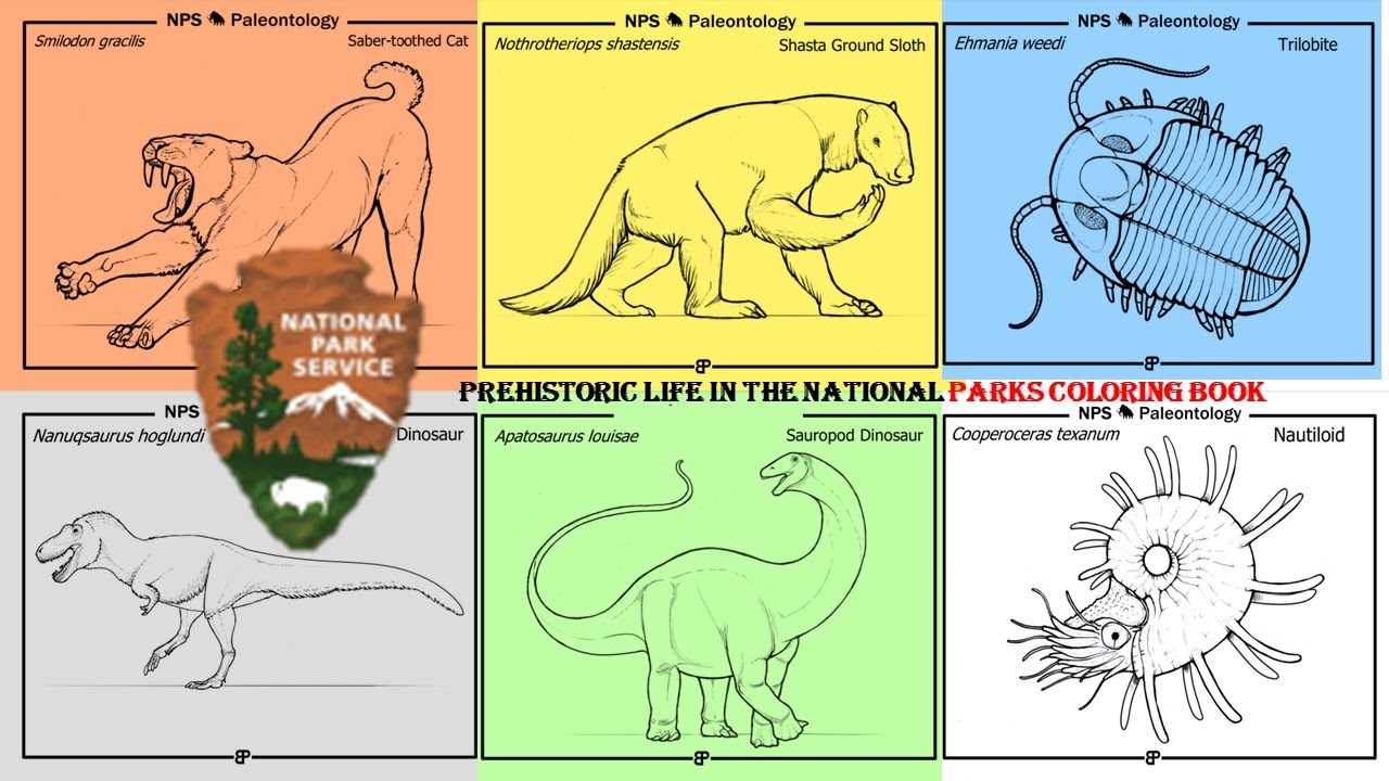 Prehistoric life in the national parks coloring book