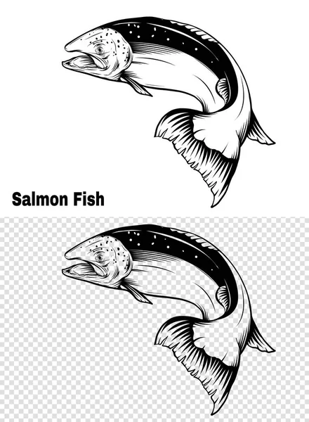 Fish internal vector images