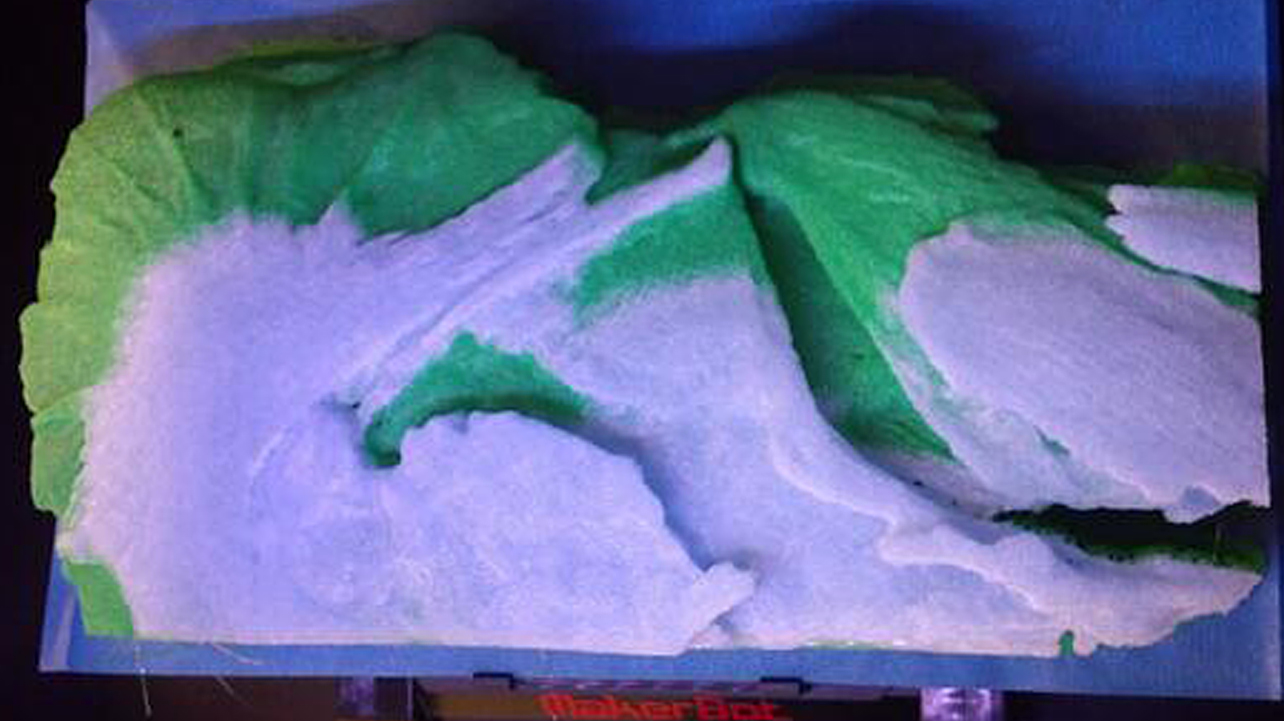 Uo paleontologist and librarian team up to create