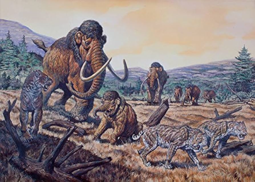 A herd of woolly mammoth and scimitar sabertooth pleistocene epoch poster print by mark hallettstocktrek images x posters prints