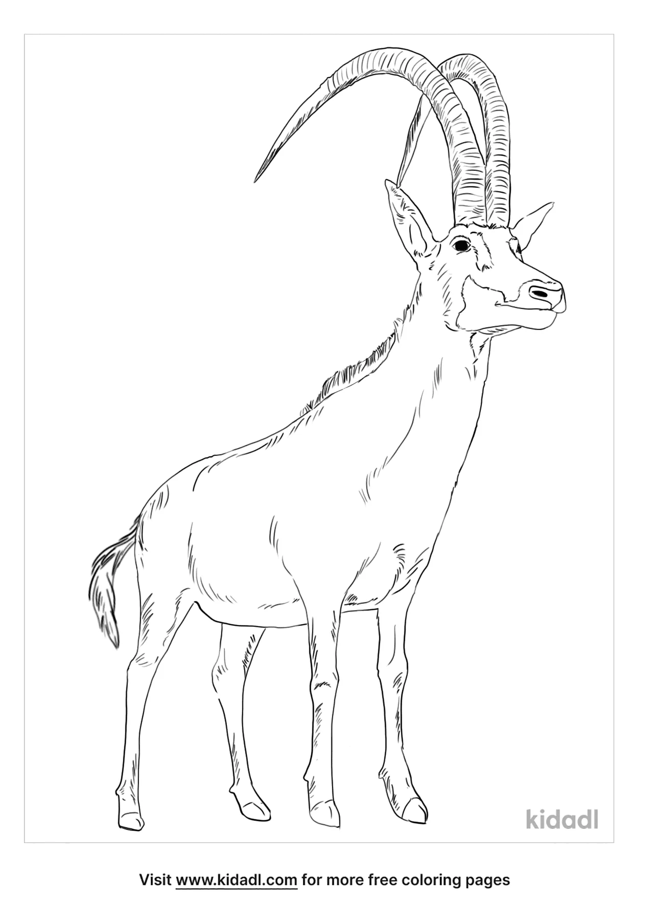Free giant sable antelope coloring page coloring page printables