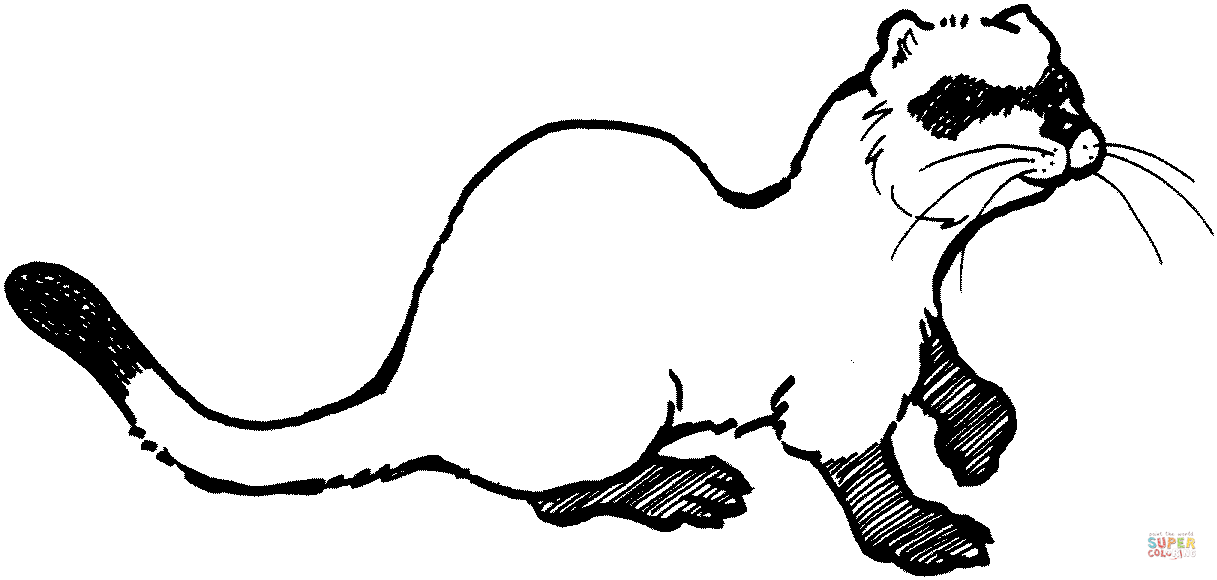 Sable coloring page free printable coloring pages