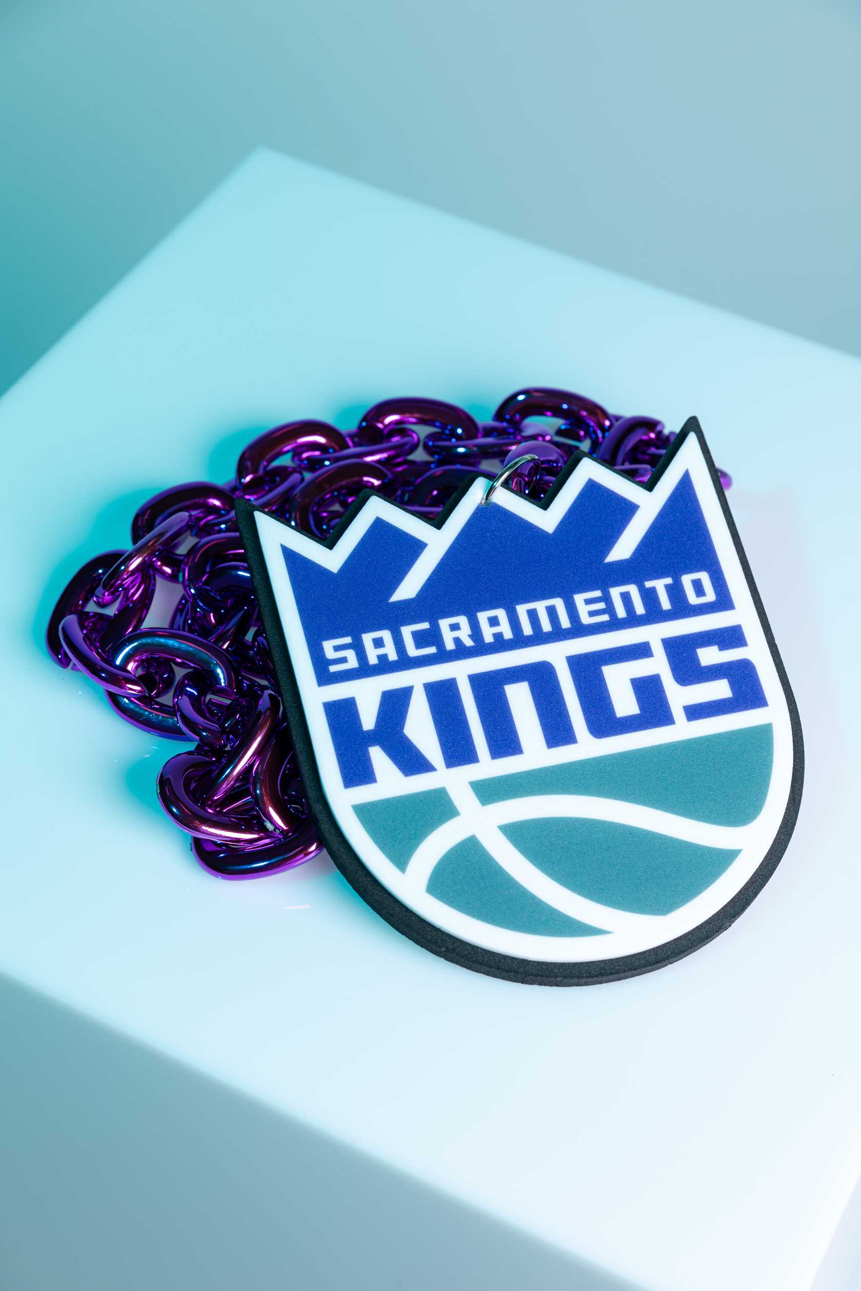 Sacramento kings primary fan chain by aminco