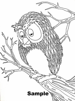 Sadtired owl color sheet by davincis workshop tpt