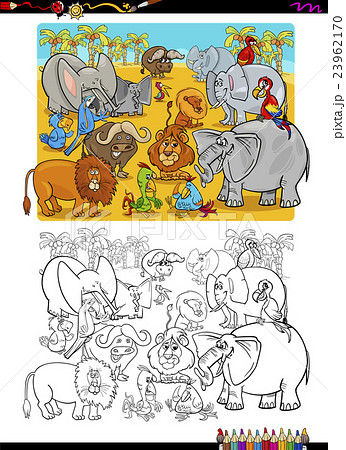 Safari animals coloring book