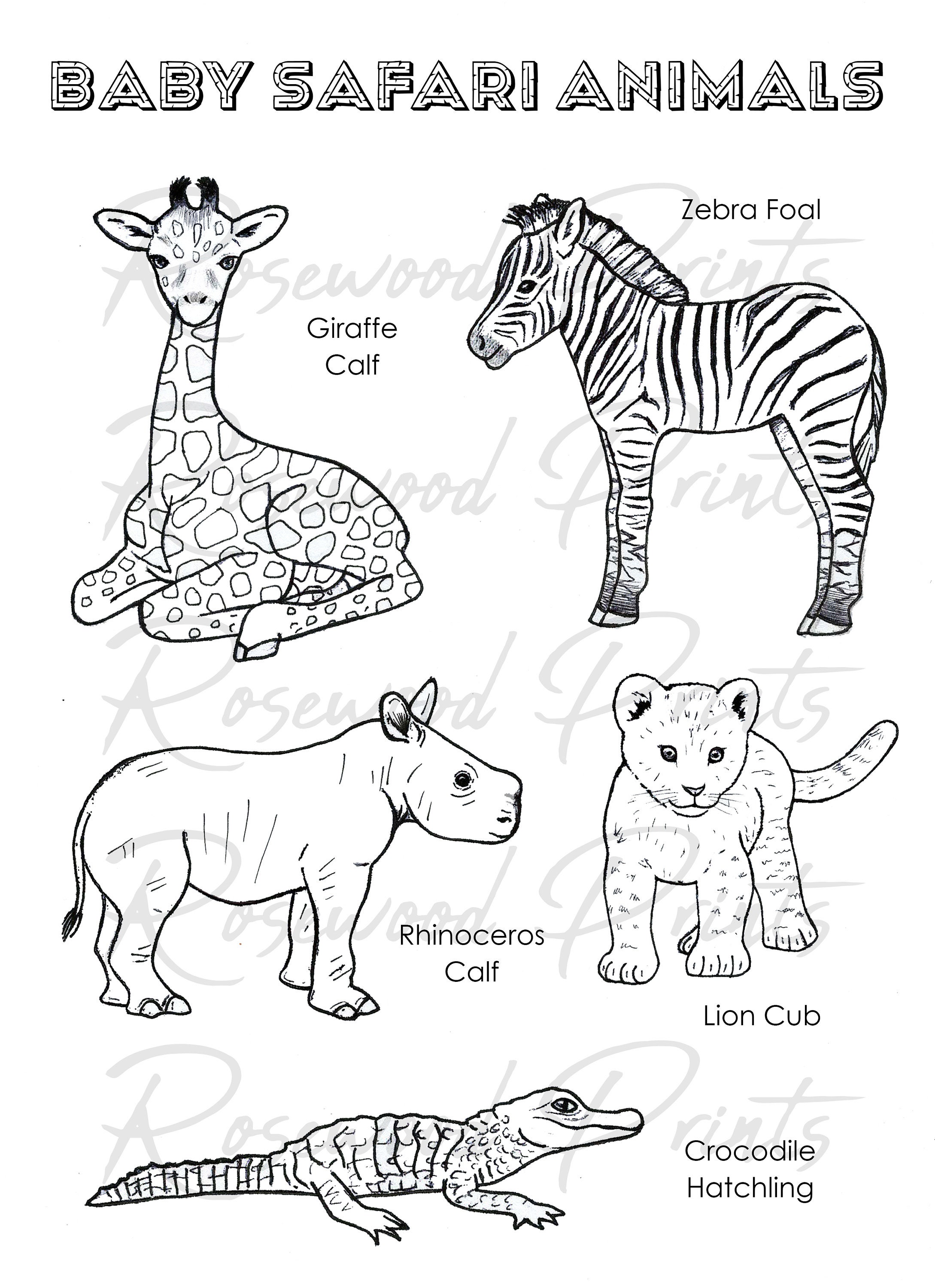 Baby safari animals coloring pages
