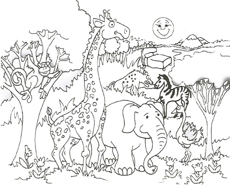 Safari animal coloring pages safari animal coloring pages coloring pages pictures imagixâ giraffe coloring pages zoo coloring pages zoo animal coloring pages