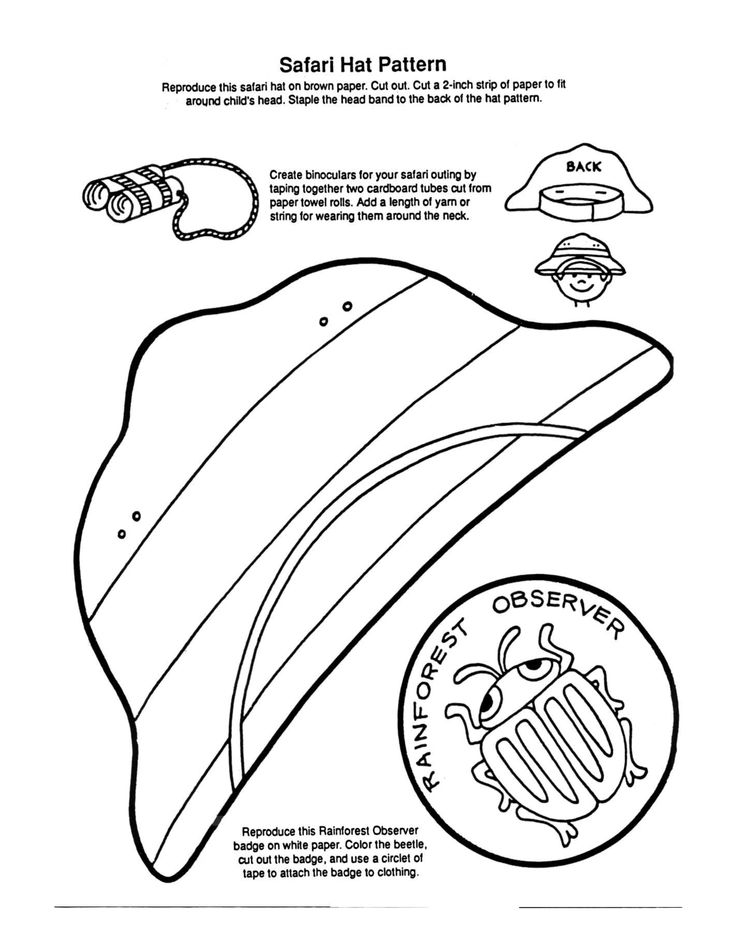 Safari hat safari jungle theme classroom