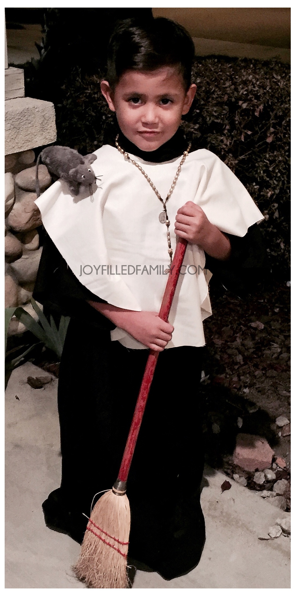 St martin de porres